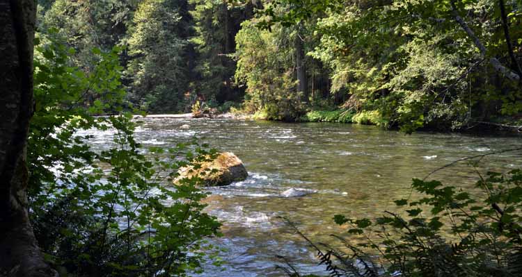 river scene